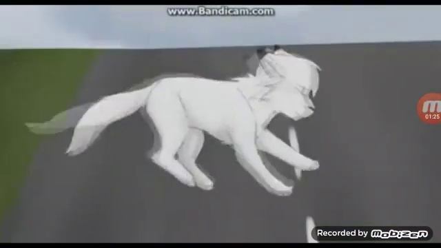 Я убью тебя круто.Коты Воители