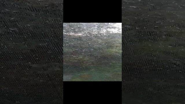 флешбеки весны