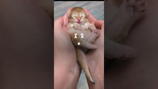 Сектор приз🎁🔥