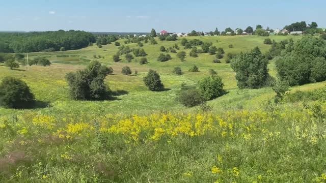 Смородино. Шопино (Рома).