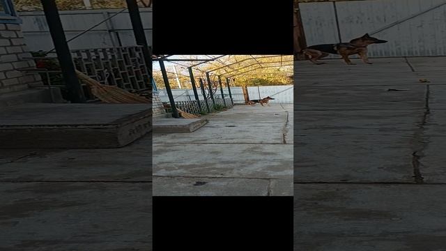 6009b981-b94e-4b22-8bbe-8cc21459d339-1_all_12366.mp4