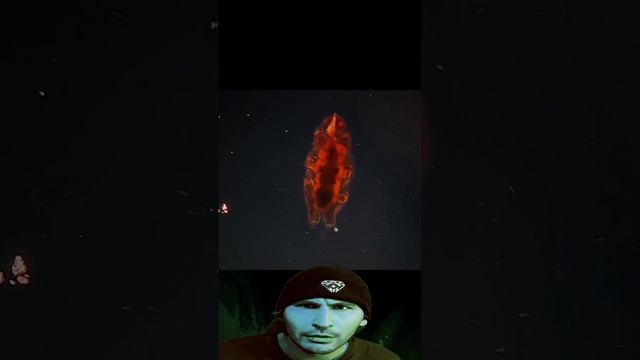 #микроскоп #чтоэто