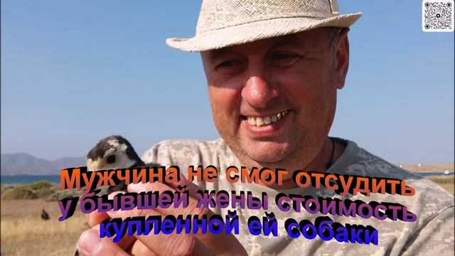 Мужчина не смог отсудить у бывшей жены стоимость купленной ей собаки