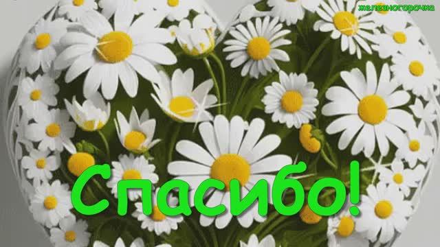 11 января День Спасибо. Красивое поздравление С Днем Спасибо Лучшая видео открытка
