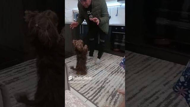 Когда мои друзья со мной🤎Эрни🤎🐶