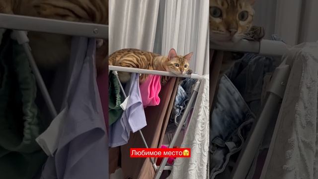 Когда устал после работы, и прилег отдохнуть 😁