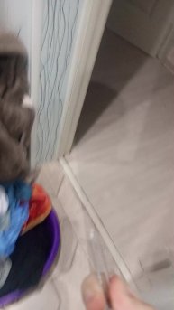 плаваем с пашкой второй раз