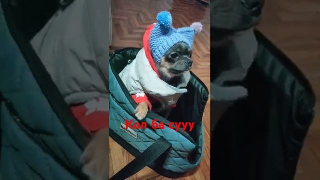 Лялюшка