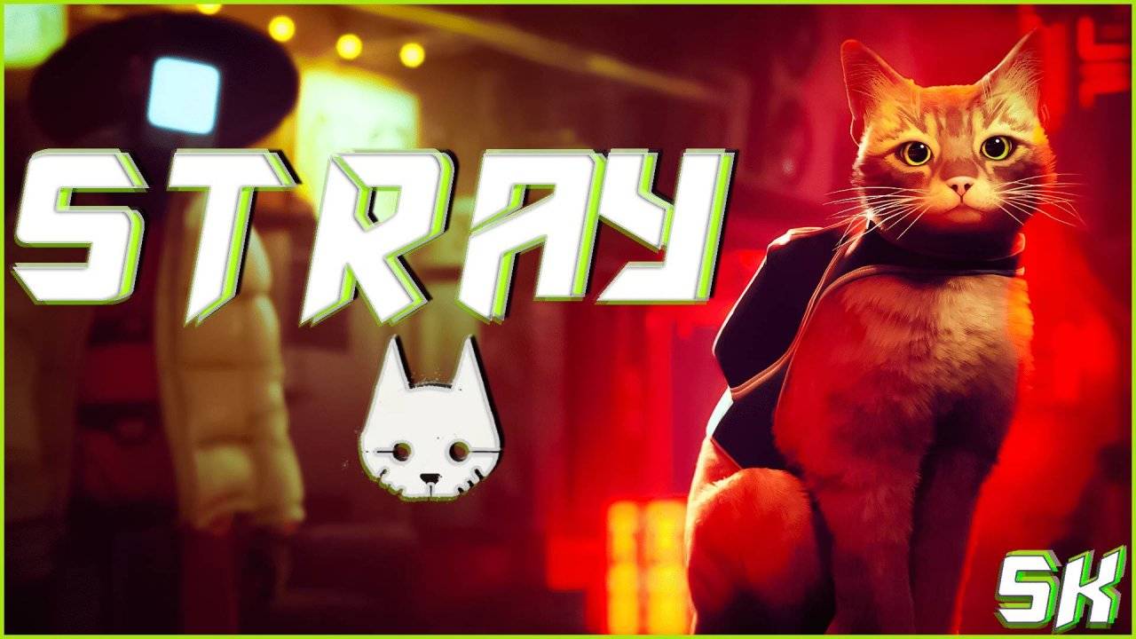 🐱 Финал? | STRAY | SK