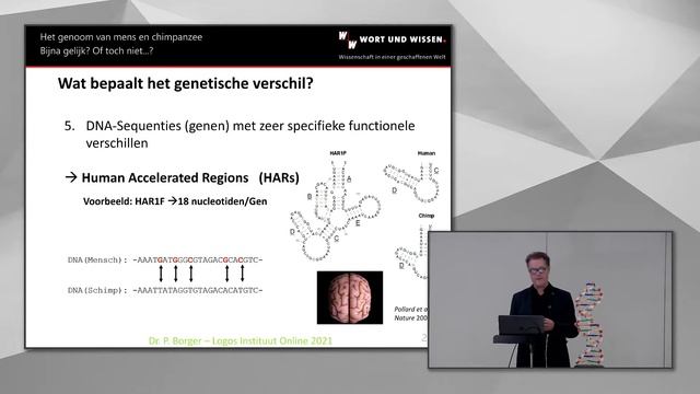 Het DNA van Mens en Chimpanzee | Dr. Pieter Borger | NE