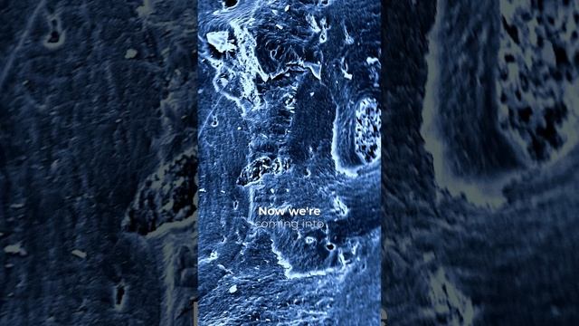 What Does a DINOSAUR Bone Look Like Under a Microscope?