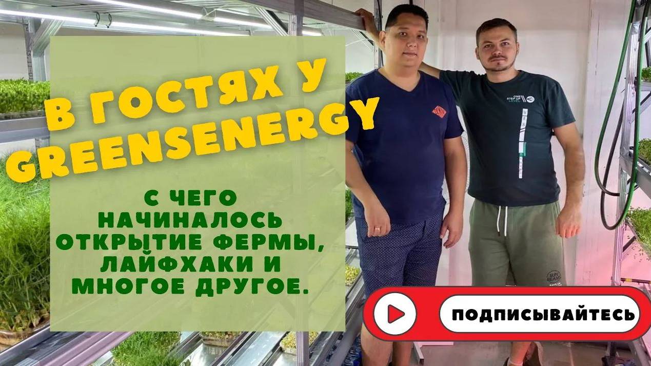 Ситиферма Greens Energy | из медицины в ситифермеры | бизнес Микрозелени