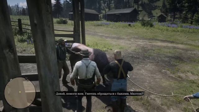 Red Dead Redemption 2_БЫКА ЗА РОГА