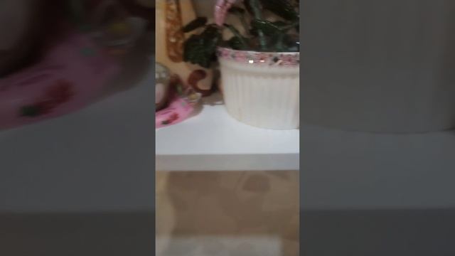 обзор на полку
