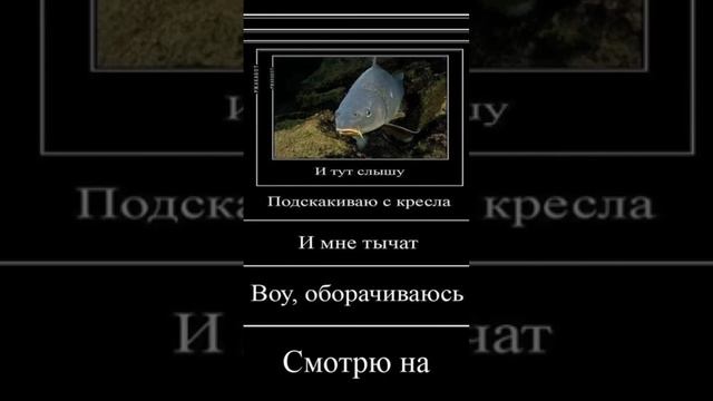 22 декабря 2024 г.