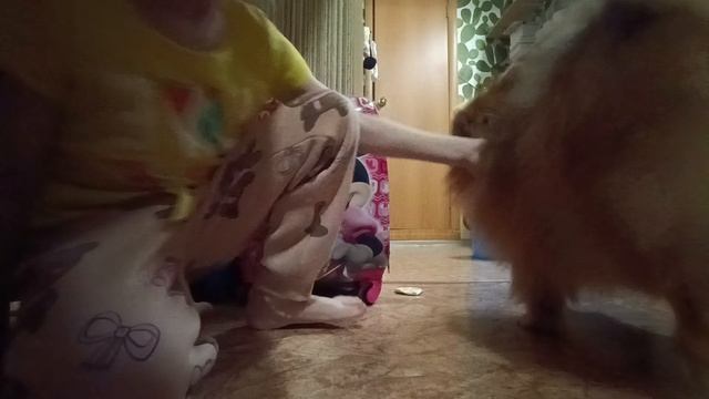 показываю свою собаку по имени Таир и играю с ним такой милашечка 💗🥹☺️💝🐕