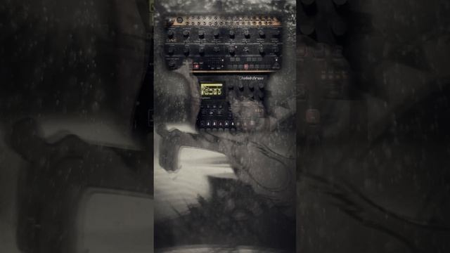 Elektron Digitone x Behringer Crave / Jamuary 2025 #shorts #sounddesign #elektronauts #digitone #idm