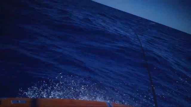 NSW South Coast Marlin - Filmed on Full HD DVR Video Recording Sunglasses-