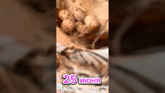 8 августа 2023 г.