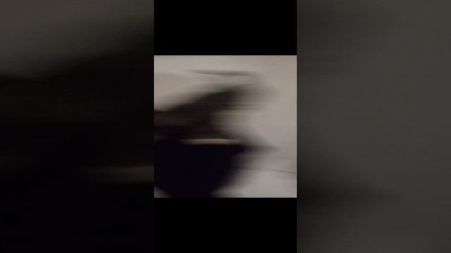 Моли пёс аааааа