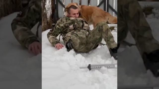 🐕 Дождался хозяина с СВО
Трогательная встреча! ❤️