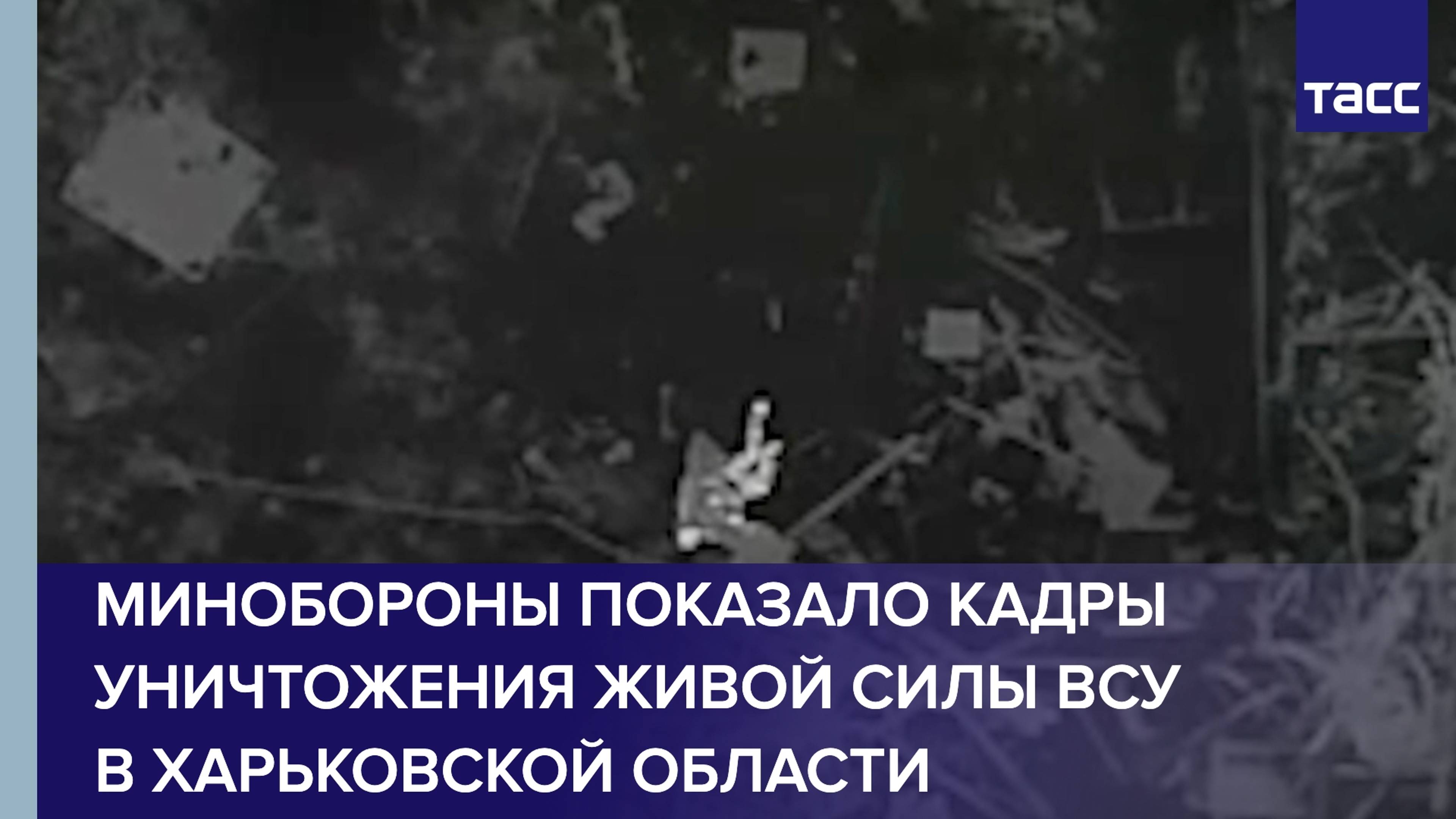 Скопление живой силы ВСУ уничтожено в Харьковской области