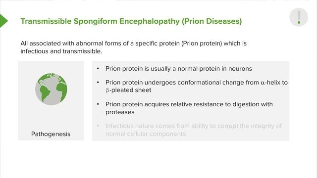 13. Transmissible Spongiform Encephalopathy (Prion Disease) and Subacute Spongiform Encephalopathy