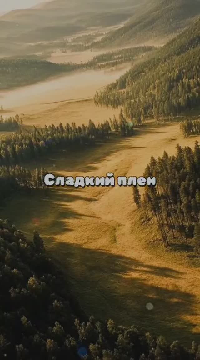 Сладкий плен