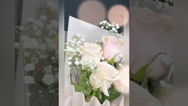 Рапсодия