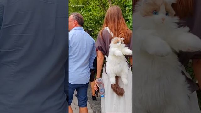 "Зеленый подиум" в Москве