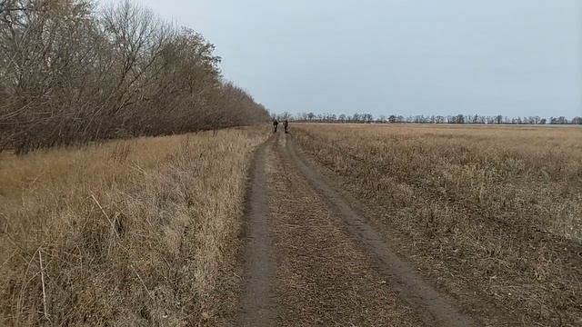 Выход на БЗ