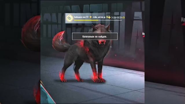 nomercy