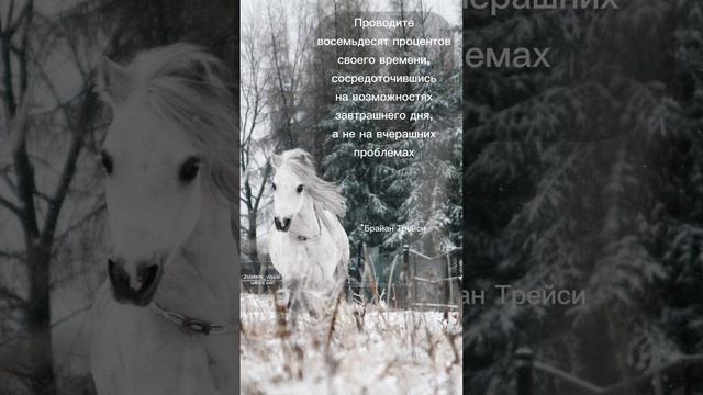 Цитата дня