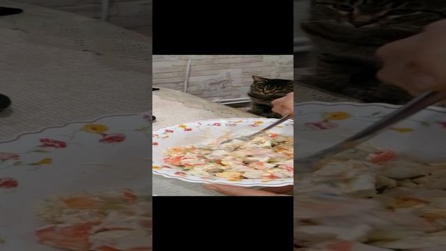 VID_20250110_213657.mp4