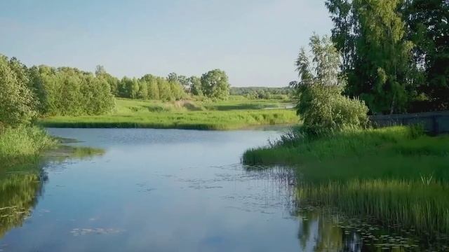 Видео-презентация коттеджного поселка «Медягино село»