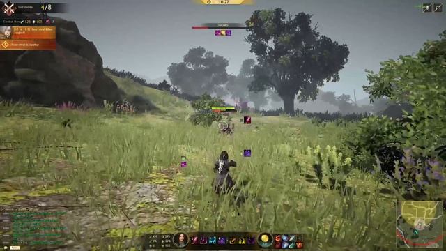 shadow arena (rip)