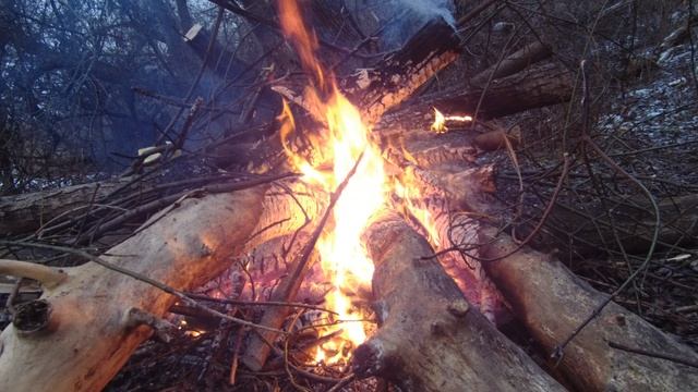 Жарим новогодние зефирки на костре и печем картошку на углях на Новогодних каникулах.