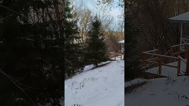 1000014402.mp4 КРАСОТА ПРИРОДЫ !