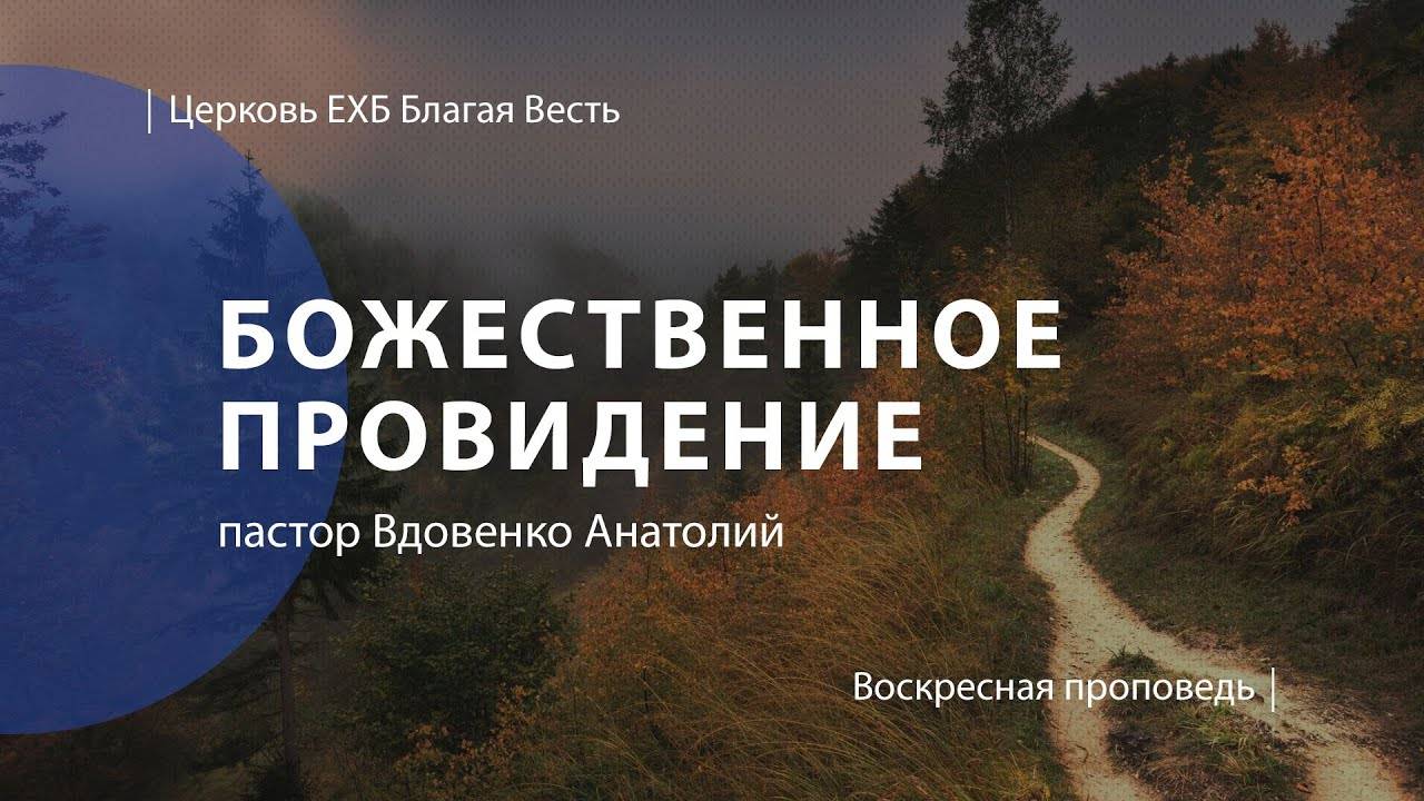 Божественное провидение | Проповедь | пастор Вдовенко Анатолий | Церковь Благая Весть