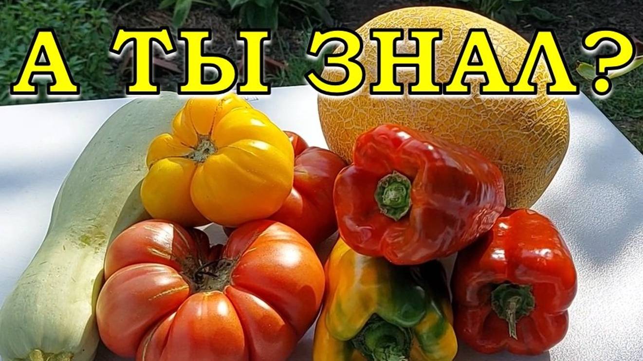 ПЛАН посева ОВОЩЕЙ  на 2025 год 🍅🍆🥕🍓🍆 (что и когда)