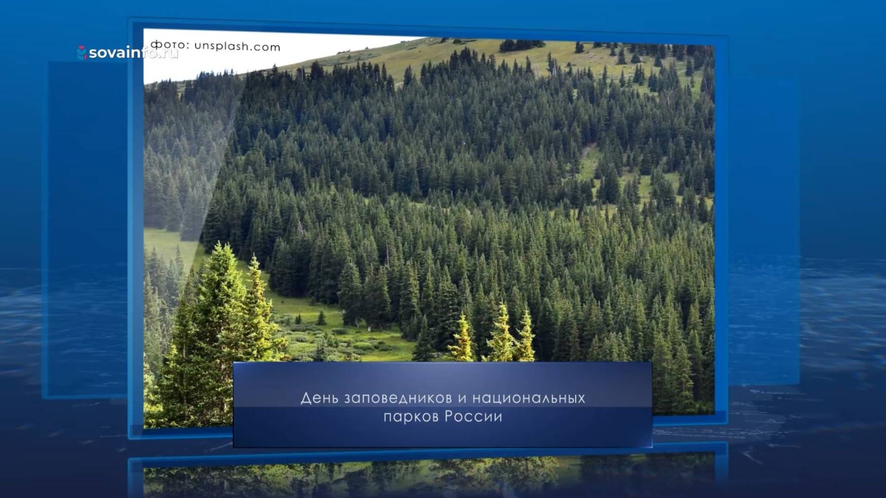 День заповедников и национальных парков. Календарь Губернии от 11 января