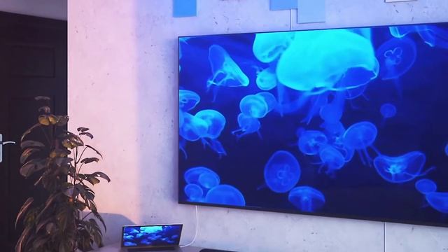 Nanoleaf Canvas Screen Mirroring