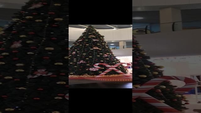 VID_20250109_185053.mp4