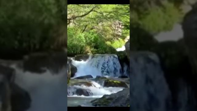 Расслабляющая  музыка  01