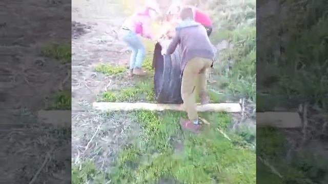 Видео от Елены Бурятии.mp4