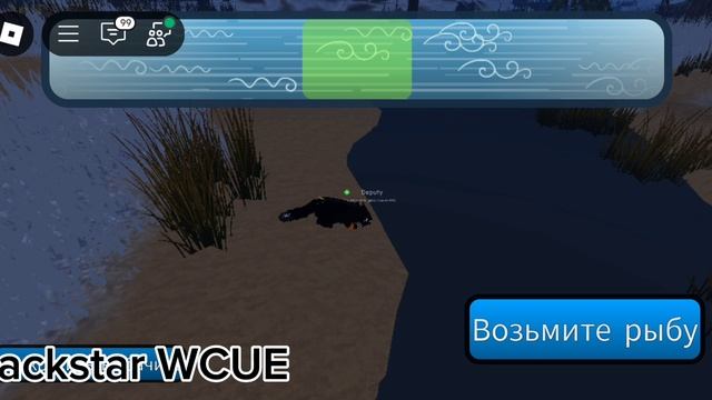 ловите видосик:) в начале я и Пятногривка;)