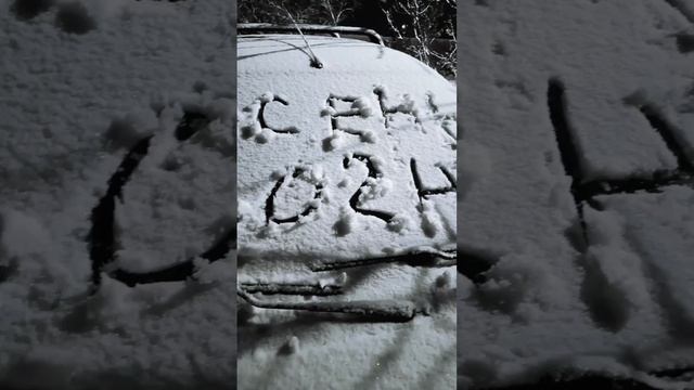 Начало зимы