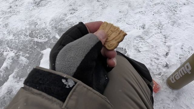 МОЙ ТОП ПОЛЕЗНОЙ СНАРЯГИ ДЛЯ РЫБАЛКИ