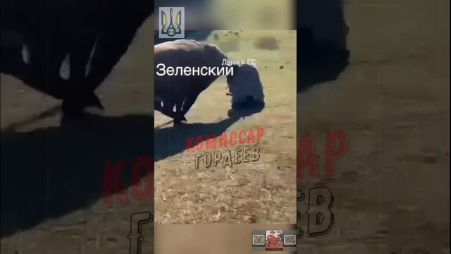 Когда одобрили очередной транш на оборонку для незалэжной, но у Зели на него другие планы😂🤣