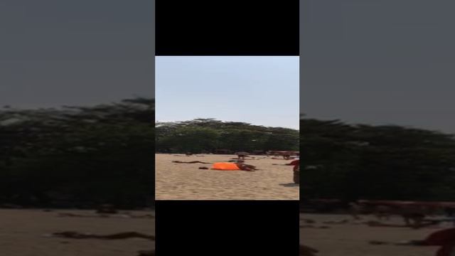 1000000586.mp4